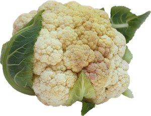 Organic Cauliflower